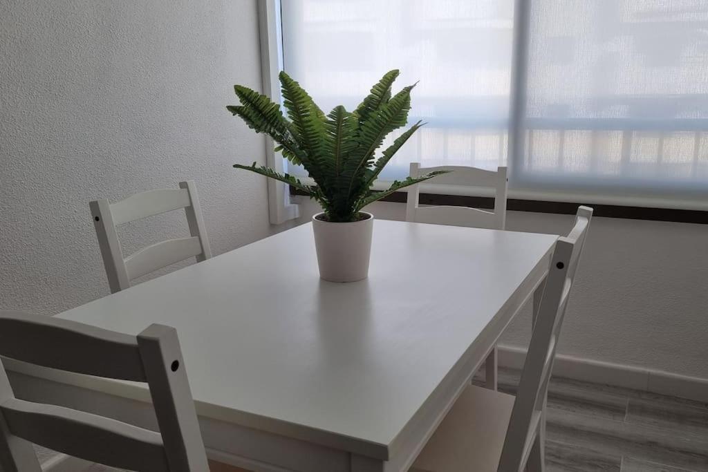 Coqueto Apartamento En La Playa Daimus Eksteriør bilde